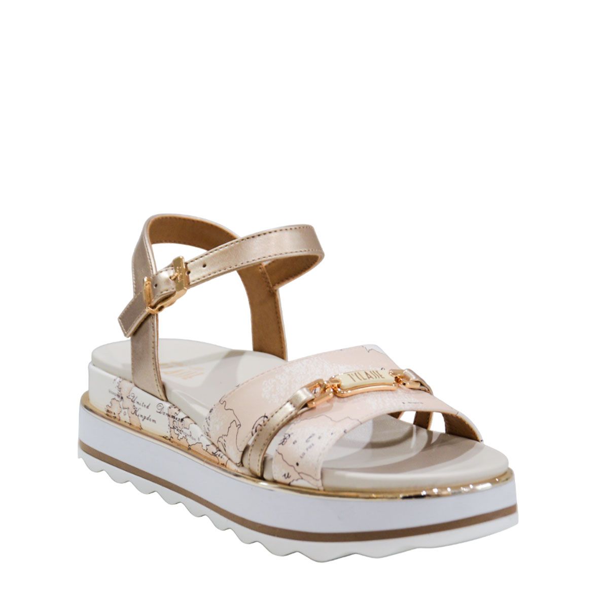 Alviero Martini prima classe N2466 0371 B156