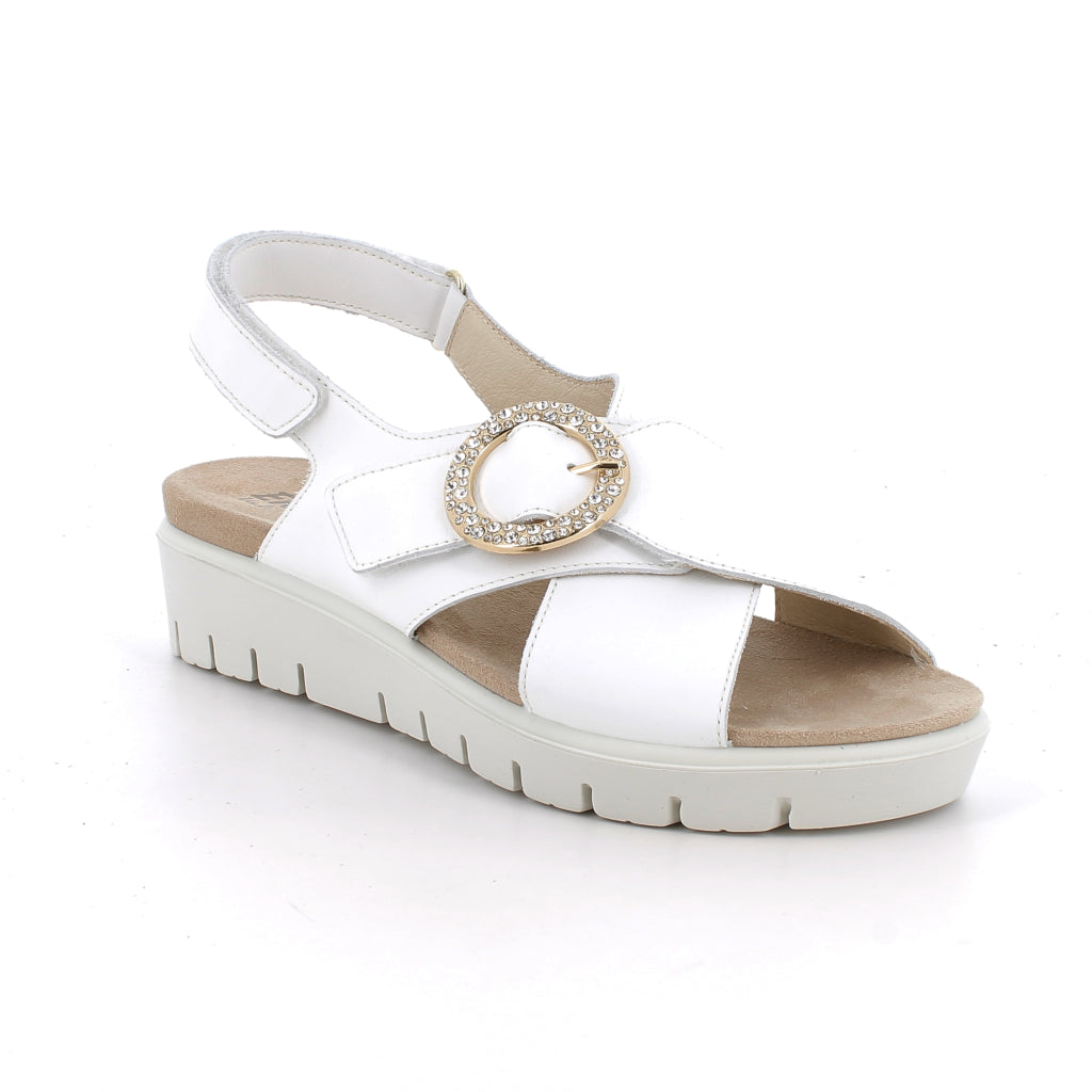 Enval Soft 1286833