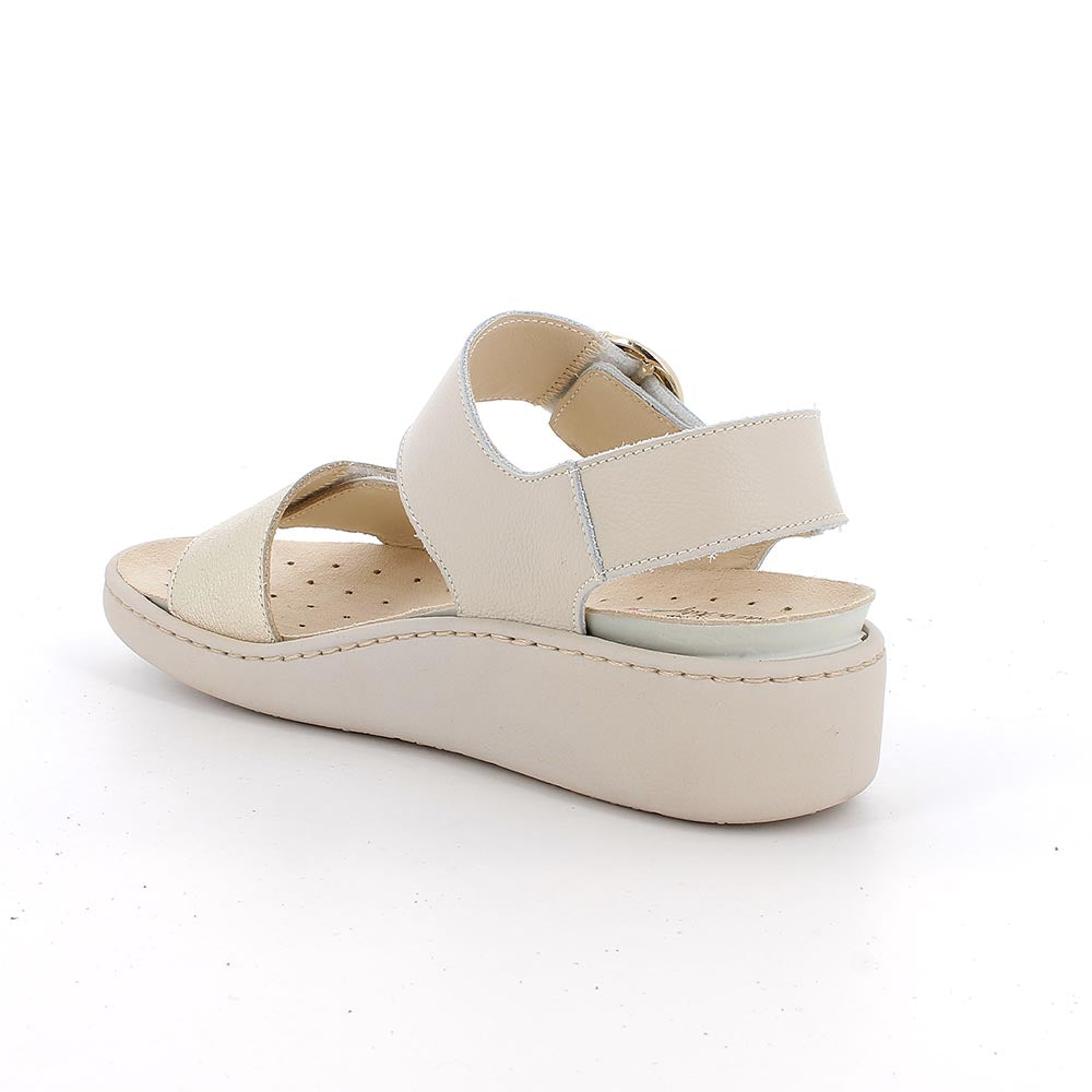Enval Soft 1278322